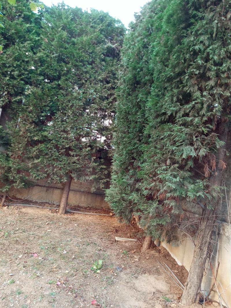 Bah�elerimiz