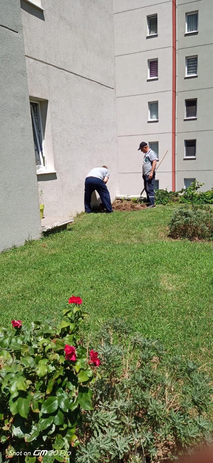 �zolasyon ��leri