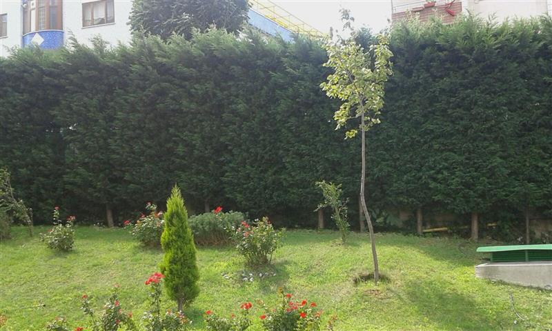 Site G�r�nt�leri